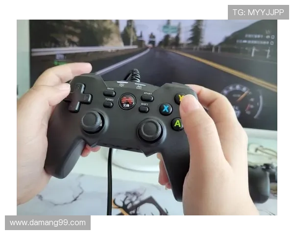 探索大家乐娱乐平台的多样化游戏体验与乐趣