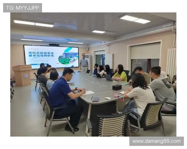 探索红宝石HBS最新网站的独特魅力与功能